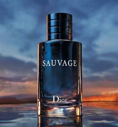 dior sauvage 200 ml ici paris|what does dior sauvage smell like.